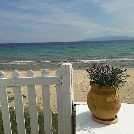 פירגדיקיה House Kokkalas On The Beach מראה חיצוני תמונה