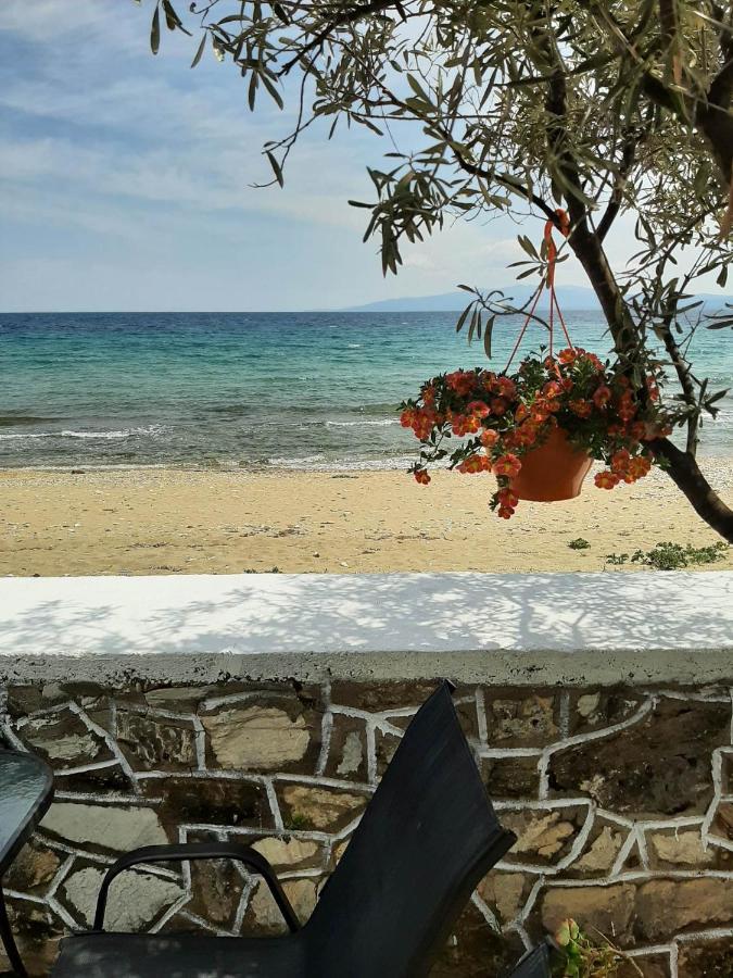 פירגדיקיה House Kokkalas On The Beach מראה חיצוני תמונה