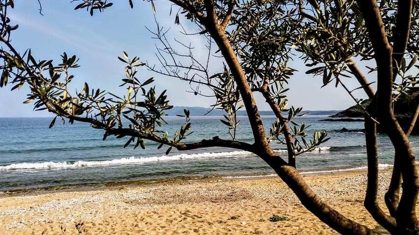פירגדיקיה House Kokkalas On The Beach מראה חיצוני תמונה